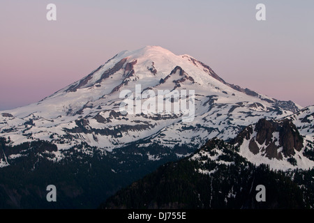 Matin Alpenglow sur le Mont Rainier de Shriner Peak, le Mont Rainier National Park, Washington. Banque D'Images