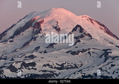 Matin Alpenglow sur le Mont Rainier de Shriner Peak, le Mont Rainier National Park, Washington. Banque D'Images