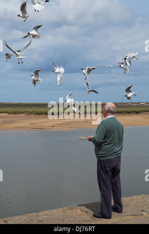 Un homme de jetons pour nourrir les mouettes. Wells-next-the-Sea, Norfolk, Angleterre. Banque D'Images