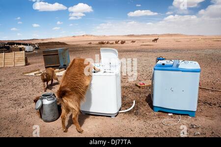 25 Sep 2012 - désert de Gobi, la Mongolie - une soif de boissons de chèvre d'un lave-linge dans le désert de Gobi. Avec l'élevage, les membres de la famille ici travailler dans une mine voisine, en fournissant un revenu supplémentaire aux services comme ce lave-linge fonctionnant à l'énergie solaire. Les bergers mongols constituent l'une des plus grandes cultures nomades restants. Ils ont vécu pendant des millénaires dans les steppes, faisant paître leurs troupeaux sur les pâturages luxuriants. Mais aujourd'hui, leur mode de vie traditionnel est menacé sur plusieurs fronts. Parallèlement à l'évolution rapide du paysage économique, le changement climatique et la désertification menace aussi Banque D'Images