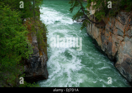 Fraser River, Mt Robson Provincial Park, British Columbia, Canada Banque D'Images