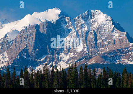 Mont Burgess, le parc national Yoho, Colombie-Britannique, Canada Banque D'Images