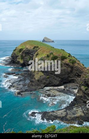 Vue sur Mutton Bird Island depuis le belvédère, l'île Lord Howe, de l'Australie Banque D'Images