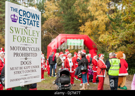 Des centaines de collectes de fonds habillé comme Santas run dans la 'Santa ash' annuel pour amasser des fonds pour l'Hospice de la Tamise la charité. Swinley Forest, Bracknell, Berkshire, England, GB, UK Banque D'Images