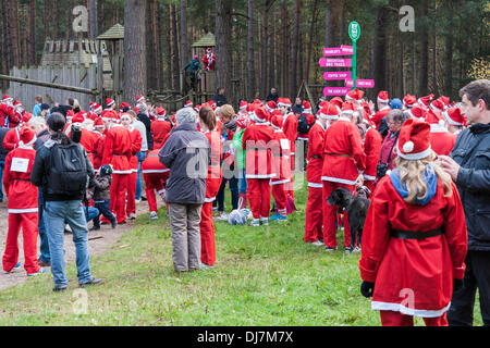 Des centaines de collectes de fonds habillé comme Santas run dans la 'Santa ash' annuel pour amasser des fonds pour l'Hospice de la Tamise la charité. Swinley Forest, Bracknell, Berkshire, England, GB, UK Banque D'Images