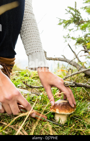 Champignons - jeune femme à la recherche et à la recherche de cèpes dans les montagnes Banque D'Images