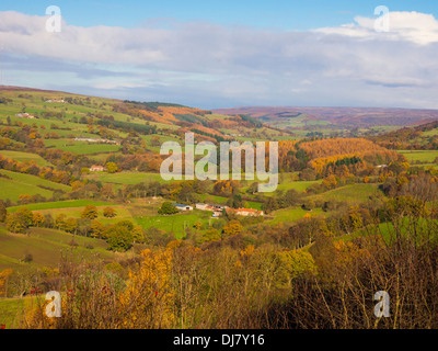 Campagne dans Bilsdale près de Helmsley dans le North Yorkshire Moors National Park en couleurs d'automne Banque D'Images