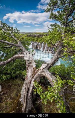Cascade Hraunfossar se jeter dans la rivière Hvita, Borgarfjordur, Islande Banque D'Images