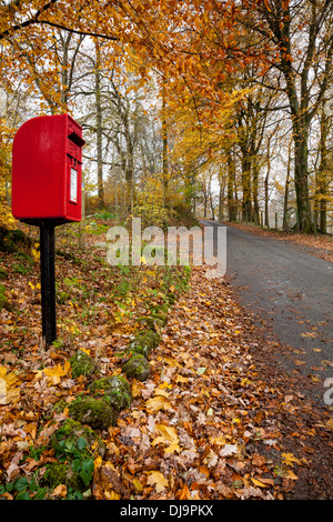 Une boite aux lettres sur une ruelle tranquille d'automne près de Skelwith Fold, près de Ambleside, Lake District, Cumbria Banque D'Images