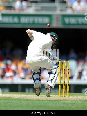 Brisbane, Australie. 22 nov., 2013. NATHAN LYON Gabba Cricket Ground. Jour 2 du premier essai de cendres Australie 2013/14 v Angleterre. © Plus Sport Action/Alamy Live News Banque D'Images