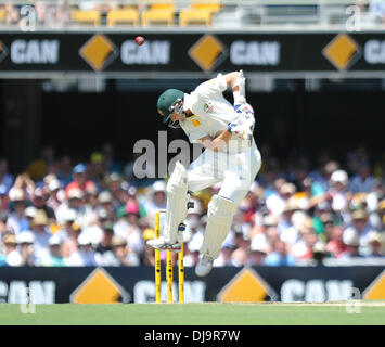 Brisbane, Australie. 22 nov., 2013. NATHAN LYON Gabba Cricket Ground. Jour 2 du premier essai de cendres Australie 2013/14 v Angleterre. © Plus Sport Action/Alamy Live News Banque D'Images