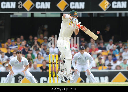 Brisbane, Australie. 22 nov., 2013. DAVID WARNER Gabba Cricket Ground. Jour 2 du premier essai de cendres Australie 2013/14 v Angleterre. © Plus Sport Action/Alamy Live News Banque D'Images