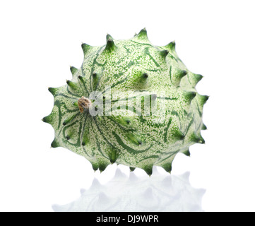 Kiwano Fruit - African melon à cornes ou concombre, isolé sur un fond blanc avec reflet Banque D'Images