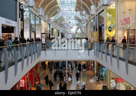 Cardiff, Royaume-Uni. 25Th Nov, 2013. St David's Shopping centre de Cardiff. Crédit : Andrew Bartlett/Alamy Live News Banque D'Images