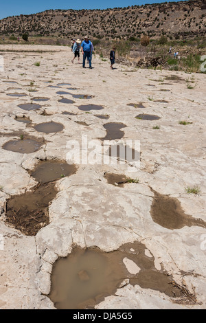 Traces de dinosaures à côté de la rivière Purgatoire, Picketwire Canyonlands, Comanche National Parc au sud de la Junta, Colorado. Banque D'Images