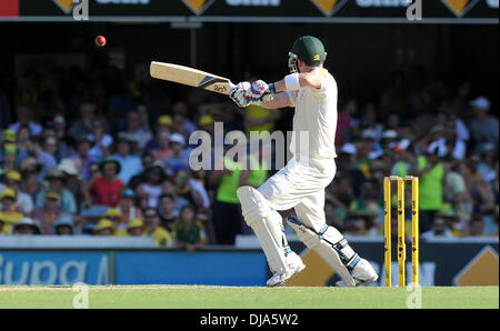 Gabba Sol, Brisbane, Australie. 23 nov., 2013. BRAD HADDIN . Jour 3 du premier essai de cendres Australie 2013/14 v Angleterre. Credit : Action Plus Sport/Alamy Live News Banque D'Images