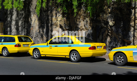 Funchal Madère. Les taxis jaunes à attendre en ligne pour passagers payants Banque D'Images