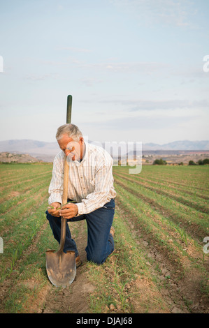 Caucasian farmer Planting seeds in crop field Banque D'Images