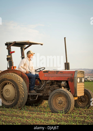 Portrait in crop field Banque D'Images