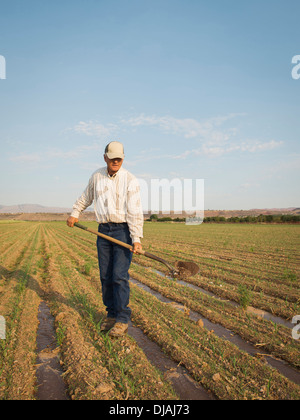 Caucasian farmer Planting seeds in crop field Banque D'Images