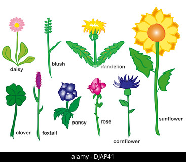 Yellow Pink and Blue Flowers Banque D'Images