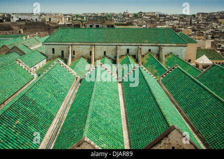 Toits verts à Fez, Maroc Banque D'Images