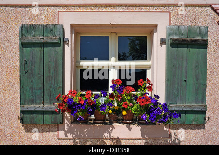 Fleurs à la fenêtre d'une maison de ferme, le musée en plein air de Franconie, Bad Windsheim, Middle Franconia, Bavaria, Germany Banque D'Images