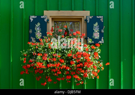 Fenêtre avec volets peints et jardinière de géraniums (Pelargonium spec.) on green cabane en bois, le Lac de Starnberg, Starnberg Banque D'Images