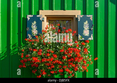 Fenêtre avec volets peints et jardinière de géraniums (Pelargonium spec.) on green cabane en bois, le Lac de Starnberg, Starnberg Banque D'Images