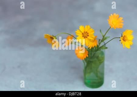 Bouquet de fleurs orange Gerber en vase en verre sur fond gris Banque D'Images