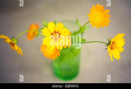 Bouquet de fleurs orange Gerber en vase en verre sur fond gris Banque D'Images