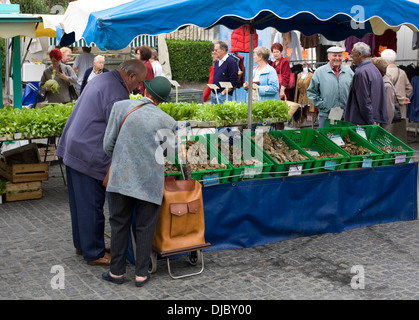 Saint-Jean-d'Angély est une ville sur la rivière Boutonne dans le département de Charente Maritime Poitou Charente, en France. Banque D'Images