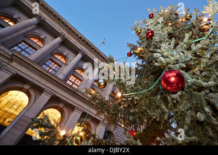 Berlin, Allemagne. Le 26 novembre 2013. Une imposante et a 60 ans et 14 mètres de haut de l'épinette de Serbie forme forest bureau du district de Pankow ornent cette année au moment de Noël, l'avant-cour de la Chambre des Représentants de Berlin. Credit : Reynaldo Chaib Paganelli/Alamy Live News Banque D'Images