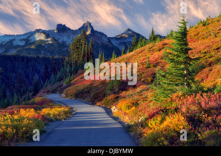 La couleur de l'automne et le lever du soleil avec le chemin en Mt. Rainier National Park avec vue sur les montagnes de Tatoosh. Washington Banque D'Images