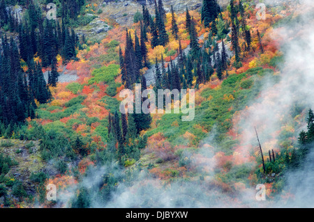 La couleur de l'automne et les nuages bas. North Cascades National Park. Washington
