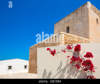 Sant Francesc de Formentera San Francisco Javier Eglise en Îles Baléares Banque D'Images