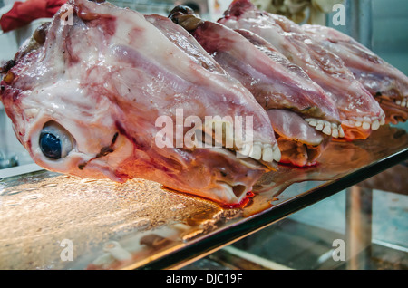 Têtes de bétail en vente au marché de la viande du Deira. Dubaï, Émirats arabes unis. Banque D'Images