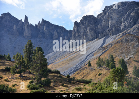 Haut du Val Minger, Parc National Suisse, Basse-engadine, Canton des Grisons, Suisse, Europe Banque D'Images