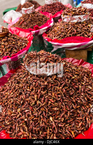 Les sauterelles appelé chapulines épicé au marché de Benito Juarez à Oaxaca, au Mexique. Banque D'Images