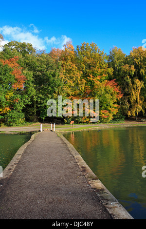 L'automne à Newmillerdam Country Park, Wakefield, West Yorkshire, Angleterre, Royaume-Uni. Banque D'Images