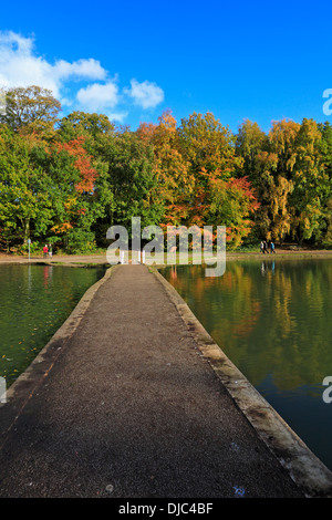 L'automne à Newmillerdam Country Park, Wakefield, West Yorkshire, Angleterre, Royaume-Uni. Banque D'Images