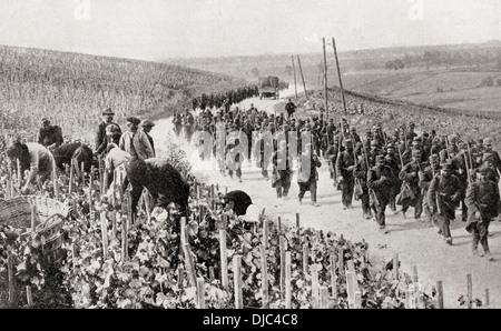 Le sentier de la guerre au milieu des paisibles vignobles du nord de la France durant la PREMIÈRE GUERRE MONDIALE. Banque D'Images