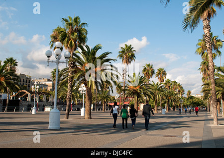 La promenade bordée de palmiers au Moll de la Fusta - Dock en bois qui court le long de Passeig de Colom, Barcelone, Catalogne Banque D'Images