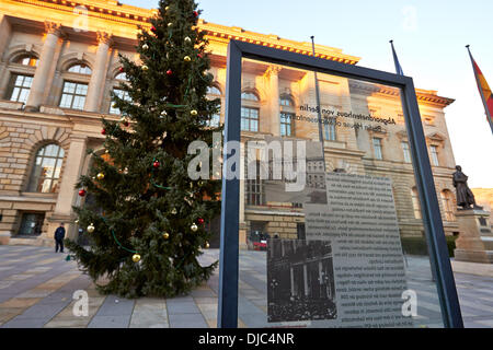 Berlin, Allemagne. 26 nov., 2013. Une imposante et a 60 ans et 14 mètres de haut de l'épinette de Serbie forme forest bureau du district de Pankow ornent cette année au moment de Noël, l'avant-cour de la Chambre des Représentants de Berlin, à Berlin, le 26 novembre 2013.Photo : Reynaldo Paganelli/NurPhoto NurPhoto © Reynaldo Paganelli//ZUMAPRESS.com/Alamy Live News Banque D'Images