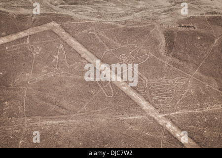 La baleine, lignes de Nazca, Nazca, au Pérou. Banque D'Images