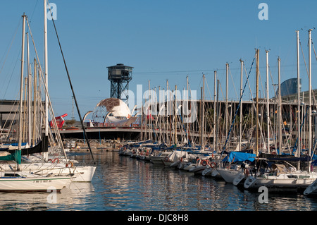 Bateaux dans le Vieux Port le long de Moll de la Fusta - Dock en bois qui court le long de Passeig de Colom, Barcelone, Catalogne Banque D'Images