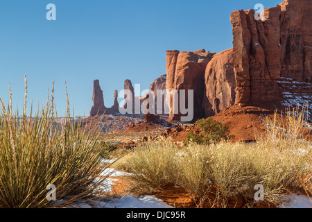 Le Red Rock buttes et hardy plantes du désert sur un après-midi d'hiver dans la région de Monument Valley Tribal Park Banque D'Images