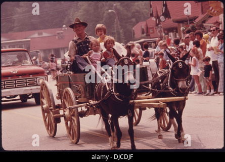 Comté de défilés UN AGRICULTEUR BLANC MULE MINIATURE SUR LA RUE PRINCIPALE DE L'ÉQUIPE DANS LE QUATRIÈME DE JUILLET EN PARADE, Géorgie . 712 Banque D'Images