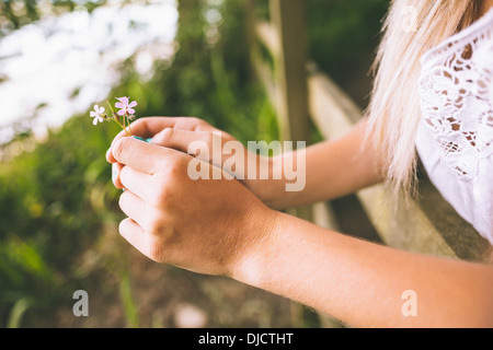 Close up of female hands holding petite fleur Banque D'Images