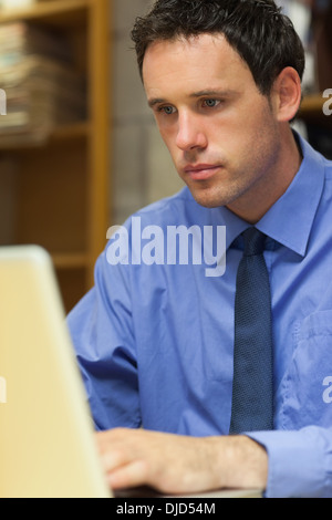 Beau travail bibliothécaire at laptop Banque D'Images